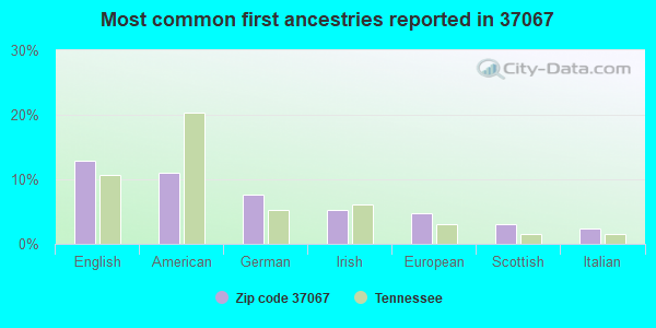 Most common first ancestries reported in 37067