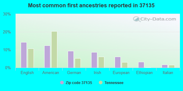 Most common first ancestries reported in 37135