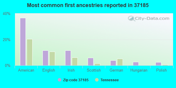 Most common first ancestries reported in 37185