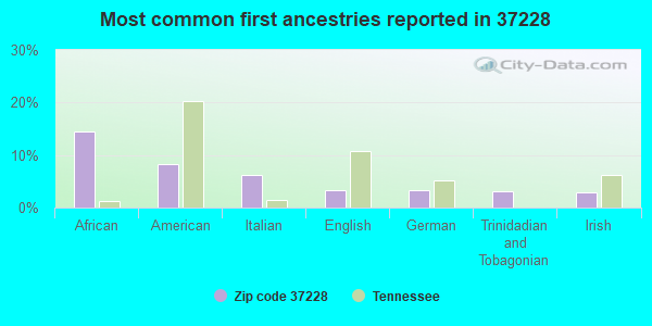 Most common first ancestries reported in 37228
