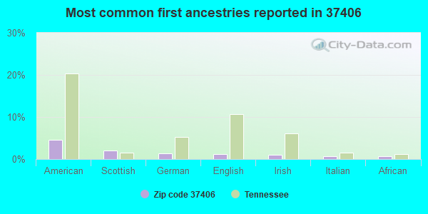 Most common first ancestries reported in 37406