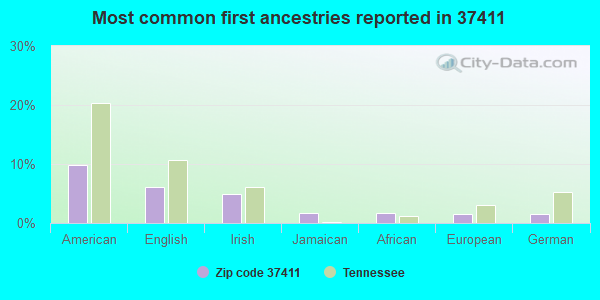 Most common first ancestries reported in 37411