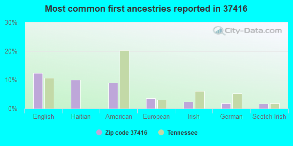 Most common first ancestries reported in 37416
