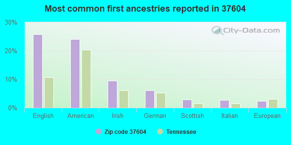 Most common first ancestries reported in 37604