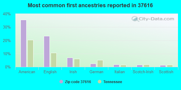 Most common first ancestries reported in 37616