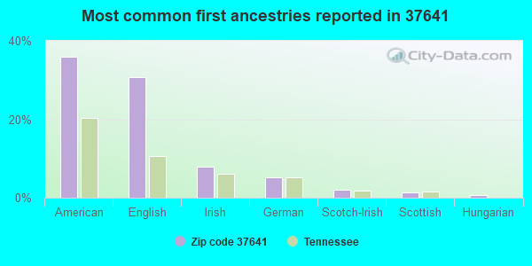 Most common first ancestries reported in 37641