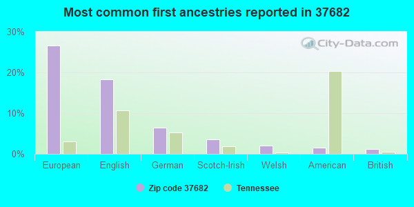 Most common first ancestries reported in 37682