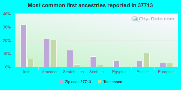 Most common first ancestries reported in 37713