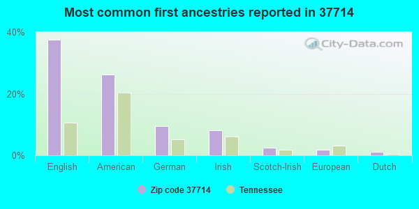 Most common first ancestries reported in 37714