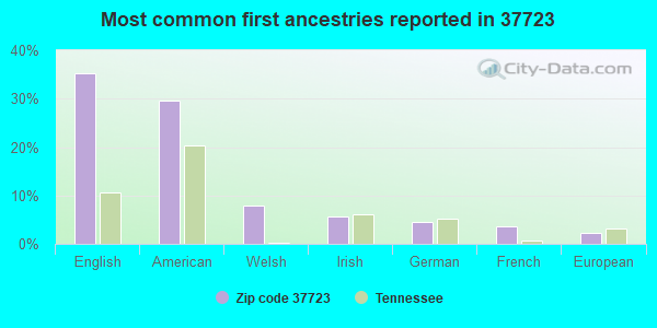 Most common first ancestries reported in 37723