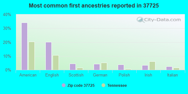 Most common first ancestries reported in 37725