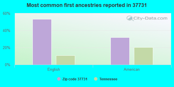 Most common first ancestries reported in 37731