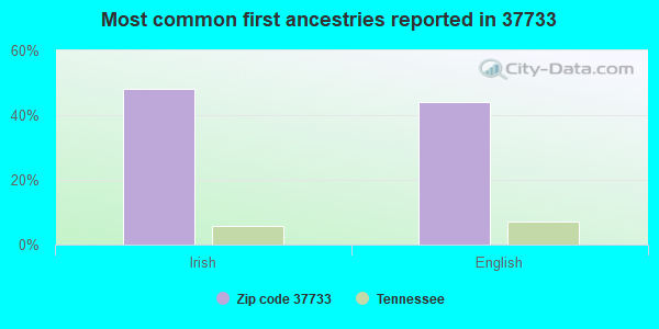 Most common first ancestries reported in 37733