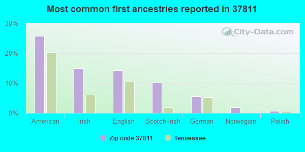 Most common first ancestries reported in 37811