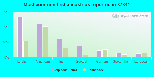 Most common first ancestries reported in 37841