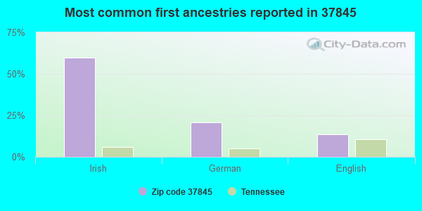 Most common first ancestries reported in 37845