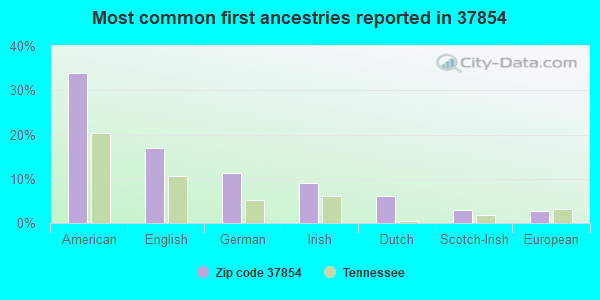Most common first ancestries reported in 37854