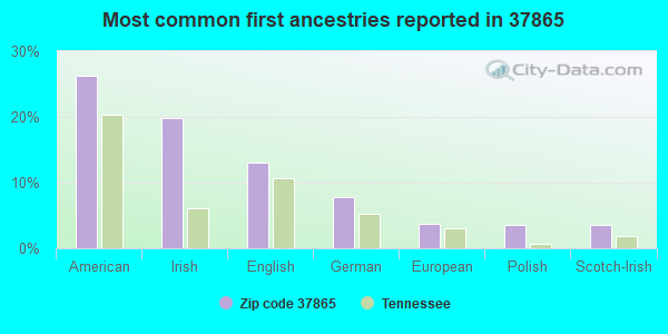 Most common first ancestries reported in 37865
