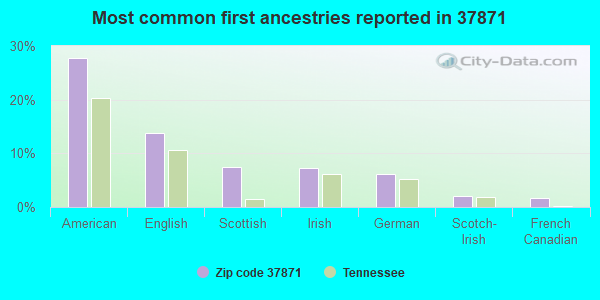 Most common first ancestries reported in 37871