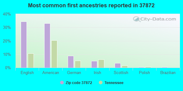 Most common first ancestries reported in 37872