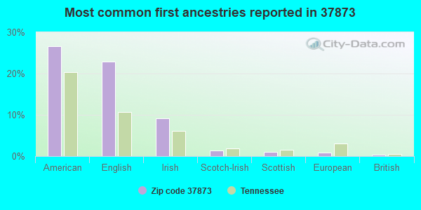 Most common first ancestries reported in 37873