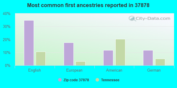 Most common first ancestries reported in 37878