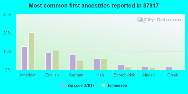 Most common first ancestries reported in 37917