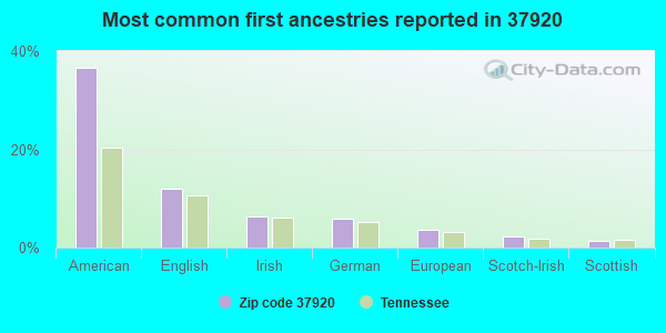 Most common first ancestries reported in 37920