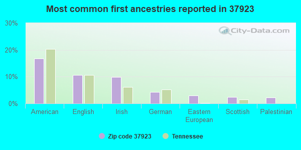 Most common first ancestries reported in 37923