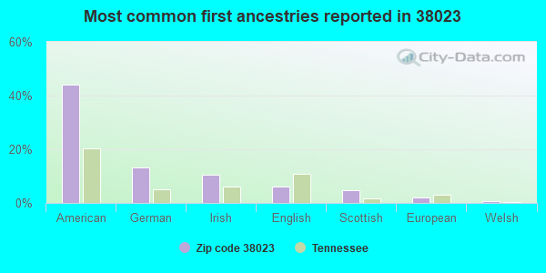 Most common first ancestries reported in 38023