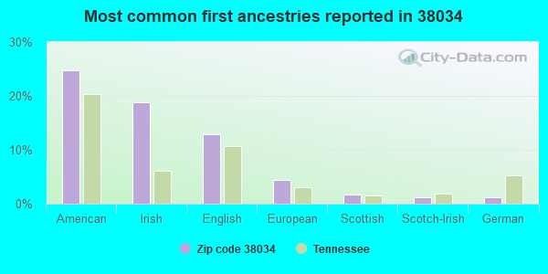 Most common first ancestries reported in 38034