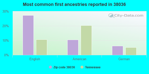 Most common first ancestries reported in 38036