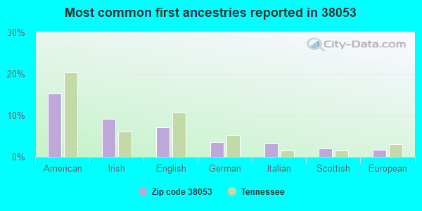 Most common first ancestries reported in 38053