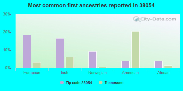 Most common first ancestries reported in 38054