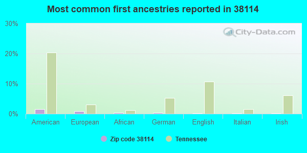 Most common first ancestries reported in 38114