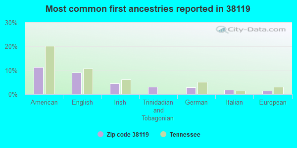 Most common first ancestries reported in 38119
