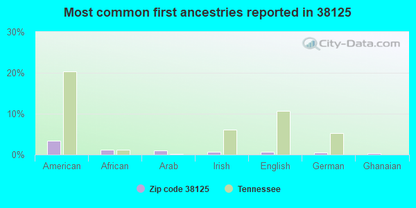 Most common first ancestries reported in 38125