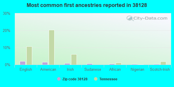 Most common first ancestries reported in 38128