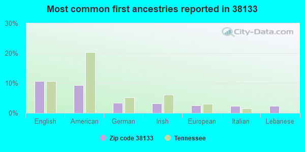 Most common first ancestries reported in 38133