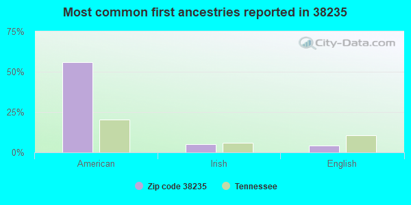 Most common first ancestries reported in 38235