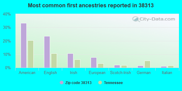 Most common first ancestries reported in 38313
