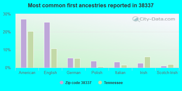 Most common first ancestries reported in 38337
