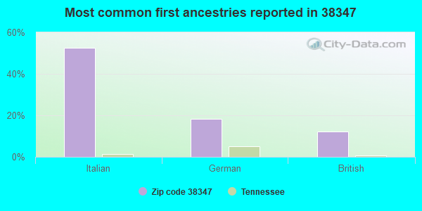Most common first ancestries reported in 38347