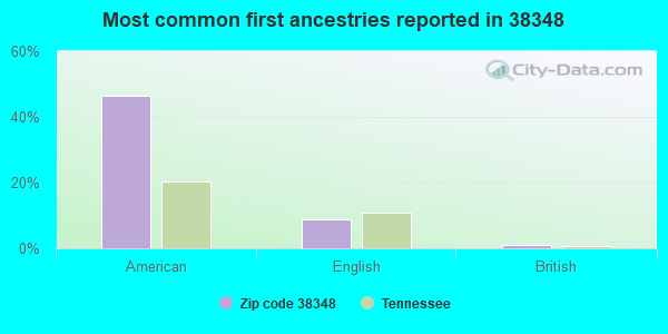 Most common first ancestries reported in 38348