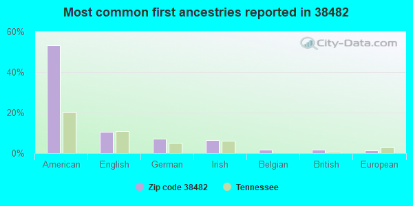 Most common first ancestries reported in 38482