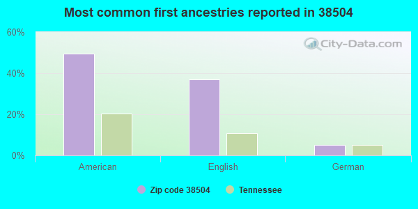 Most common first ancestries reported in 38504