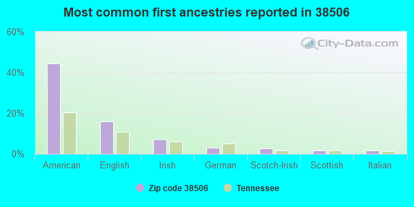 Most common first ancestries reported in 38506