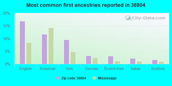 Most common first ancestries reported in 38804