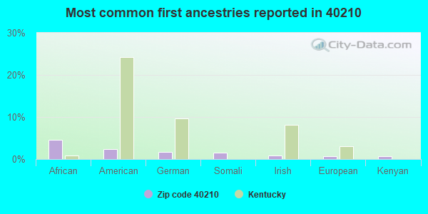 Most common first ancestries reported in 40210