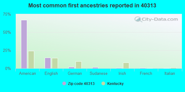 Most common first ancestries reported in 40313